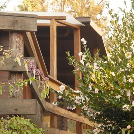 Eco-Resort Parco Botanico Fiorlago Mergozzo Dış mekan fotoğraf