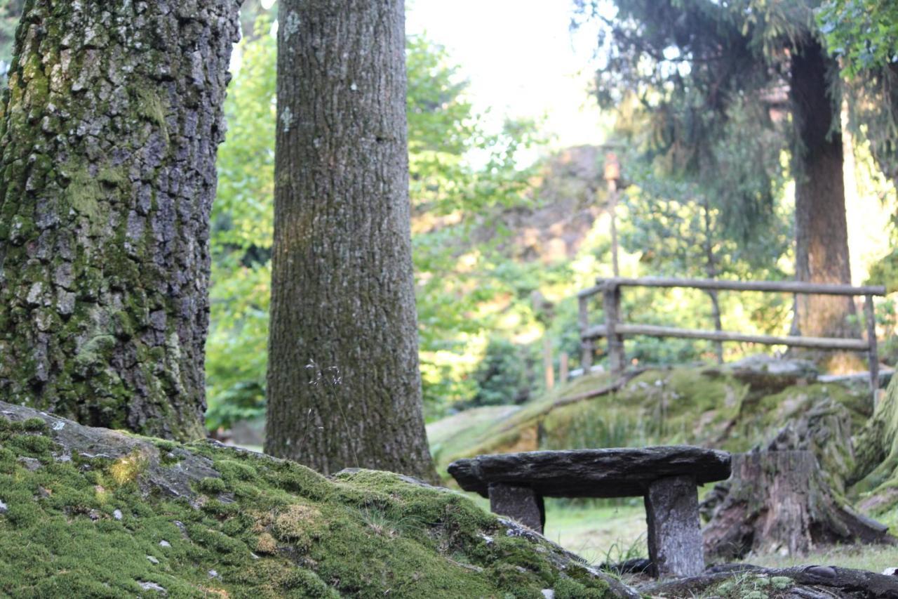 Eco-Resort Parco Botanico Fiorlago Mergozzo Dış mekan fotoğraf