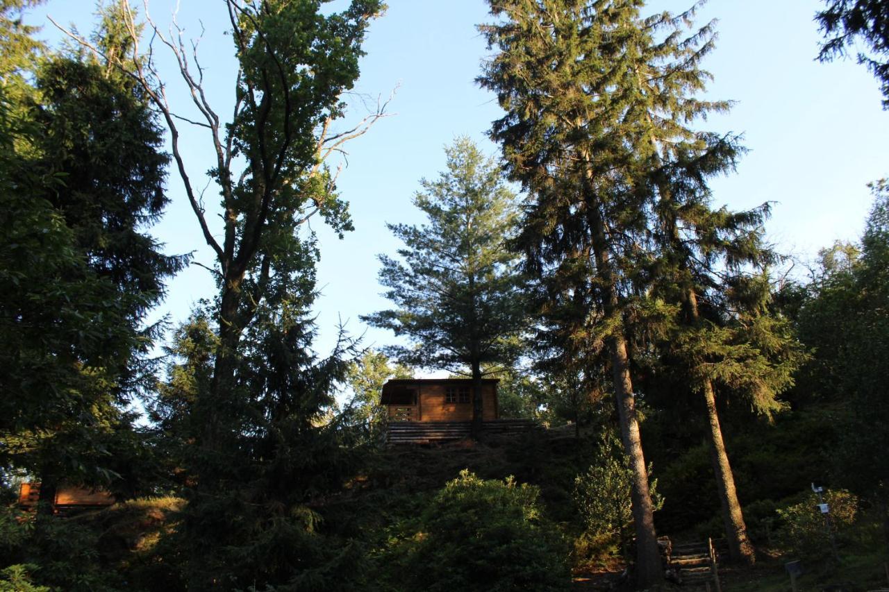 Eco-Resort Parco Botanico Fiorlago Mergozzo Dış mekan fotoğraf