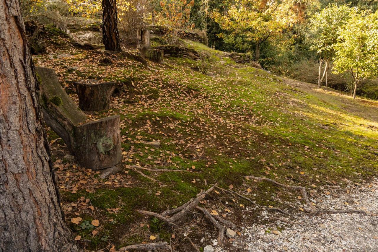 Eco-Resort Parco Botanico Fiorlago Mergozzo Dış mekan fotoğraf