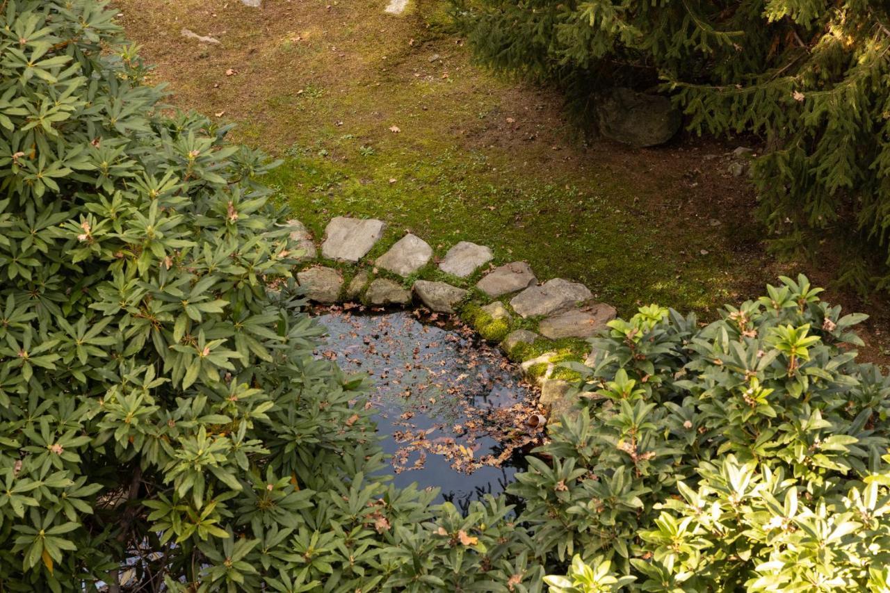Eco-Resort Parco Botanico Fiorlago Mergozzo Dış mekan fotoğraf