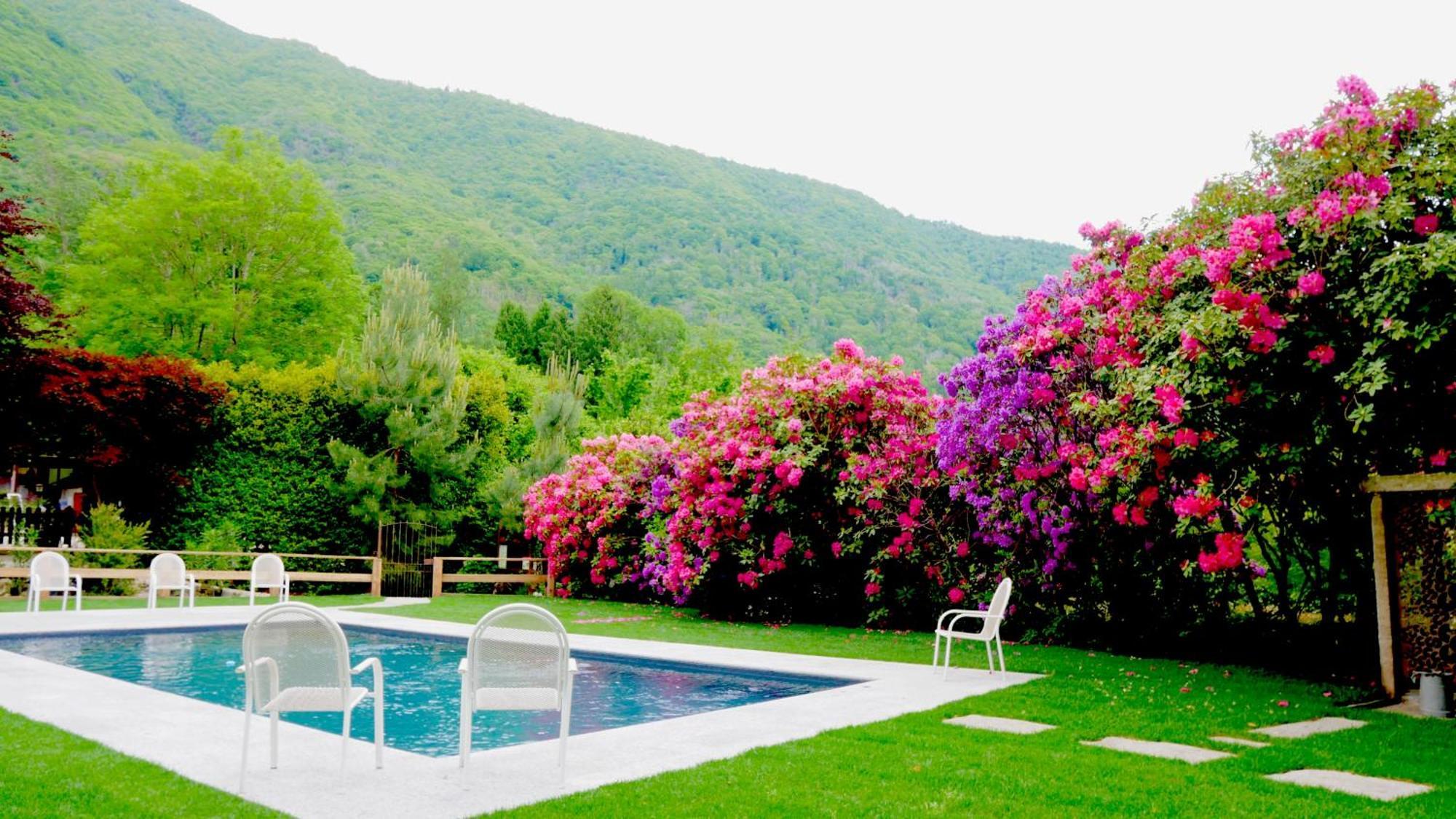 Eco-Resort Parco Botanico Fiorlago Mergozzo Dış mekan fotoğraf